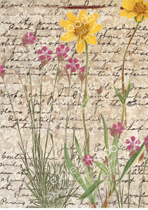 Rustic Wildflowers EJG-O013