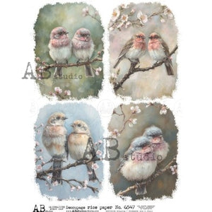 Little Spring Birds AB 6547