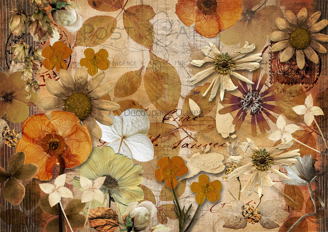 Pressed Autumn Flowers