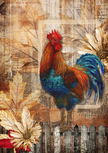 Country Rooster