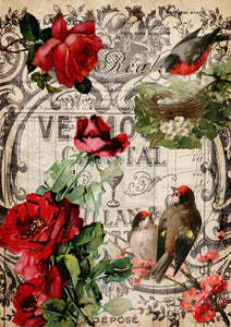 Red Roses and Birds