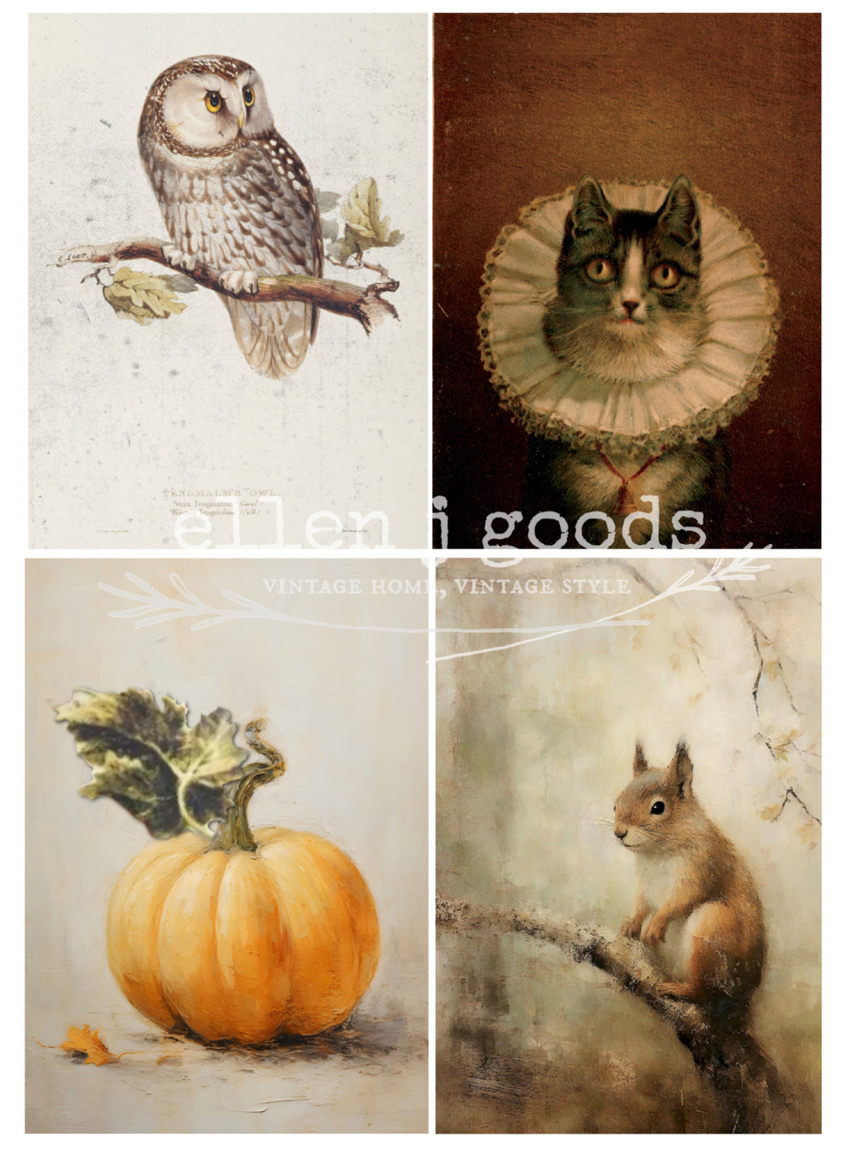 Autumn Splendor EJG-006