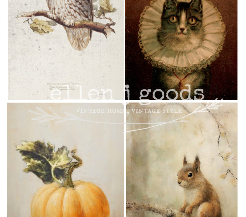 Autumn Splendor EJG-006