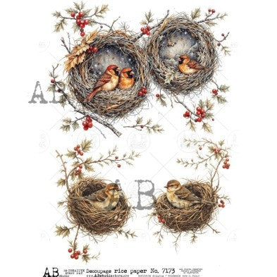 Birds in Nests with Holly  AB Studios 7173
