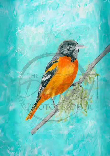 Oriole Connie’s L&D, rice paper design by Connies Lines and Designs, arts & entertainment > hobbies & creative arts > arts & crafts, for decoupage and crafting
