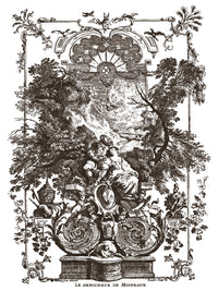 Hameau de la Reine IOD Paint Inlay 12x16 Pad™