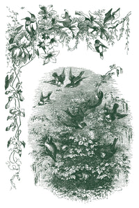 Little Lark IOD Paint Inlay 8x12 Pad