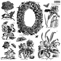 Nature's Etchings 12x12 IOD Stamp 2 Sheets