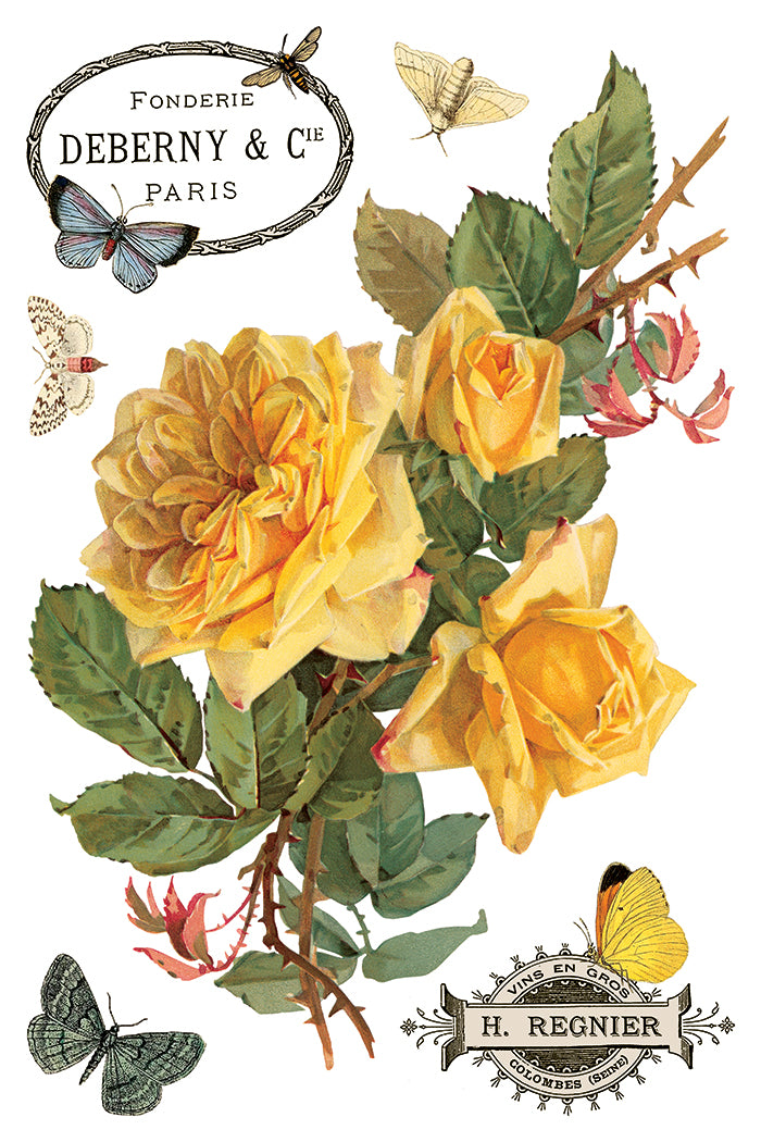 By Any Other Name IOD Transfer 8x12 Pad™