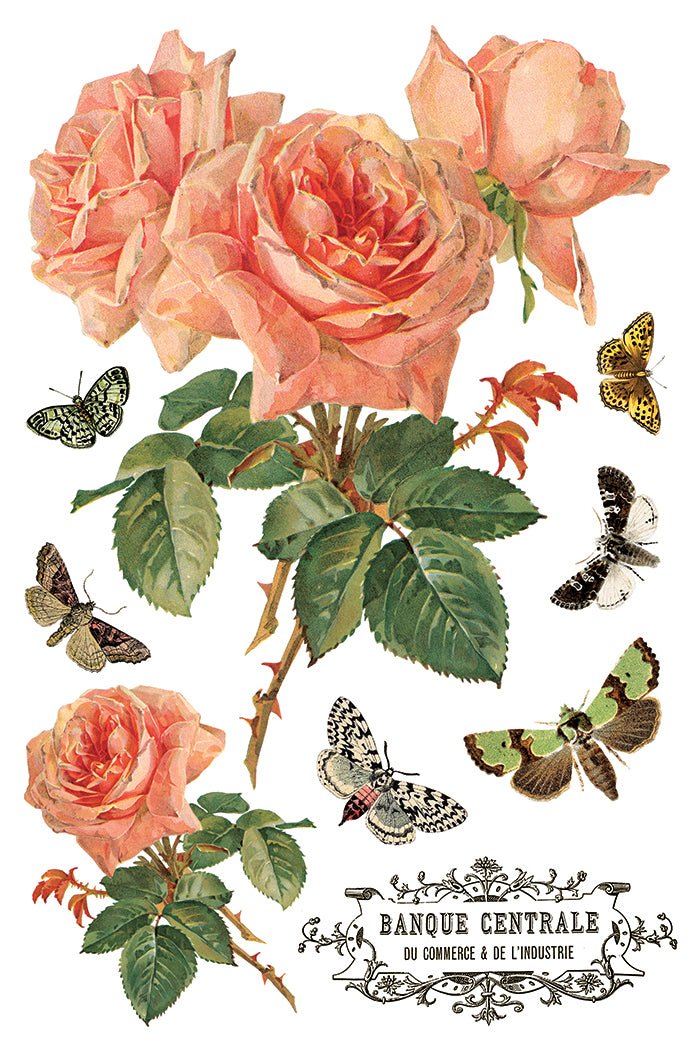 By Any Other Name IOD Transfer 8x12 Pad™