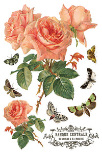 By Any Other Name IOD Transfer 8x12 Pad™