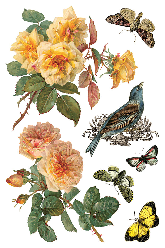 By Any Other Name IOD Transfer 8x12 Pad™