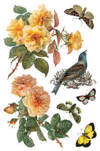 By Any Other Name IOD Transfer 8x12 Pad™