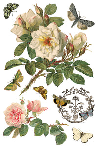 By Any Other Name IOD Transfer 8x12 Pad™