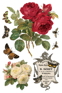 By Any Other Name IOD Transfer 8x12 Pad™