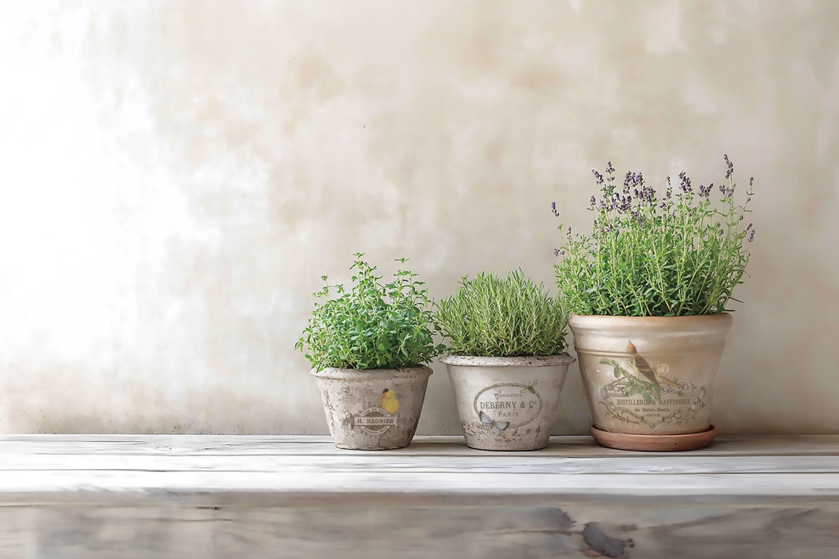 By Any Other Name IOD Transfer 8x12 Pad™