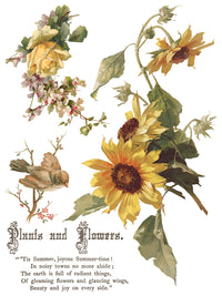Flowers by the Poets IOD Transfer 12x16 Pad
