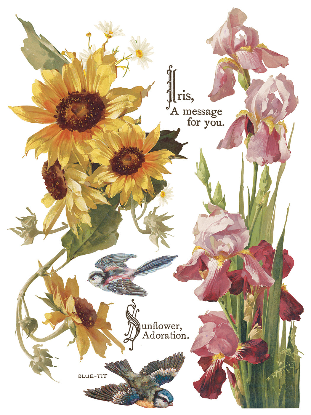 Flowers by the Poets IOD Transfer 12x16 Pad