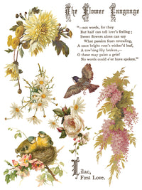 Flowers by the Poets IOD Transfer 12x16 Pad