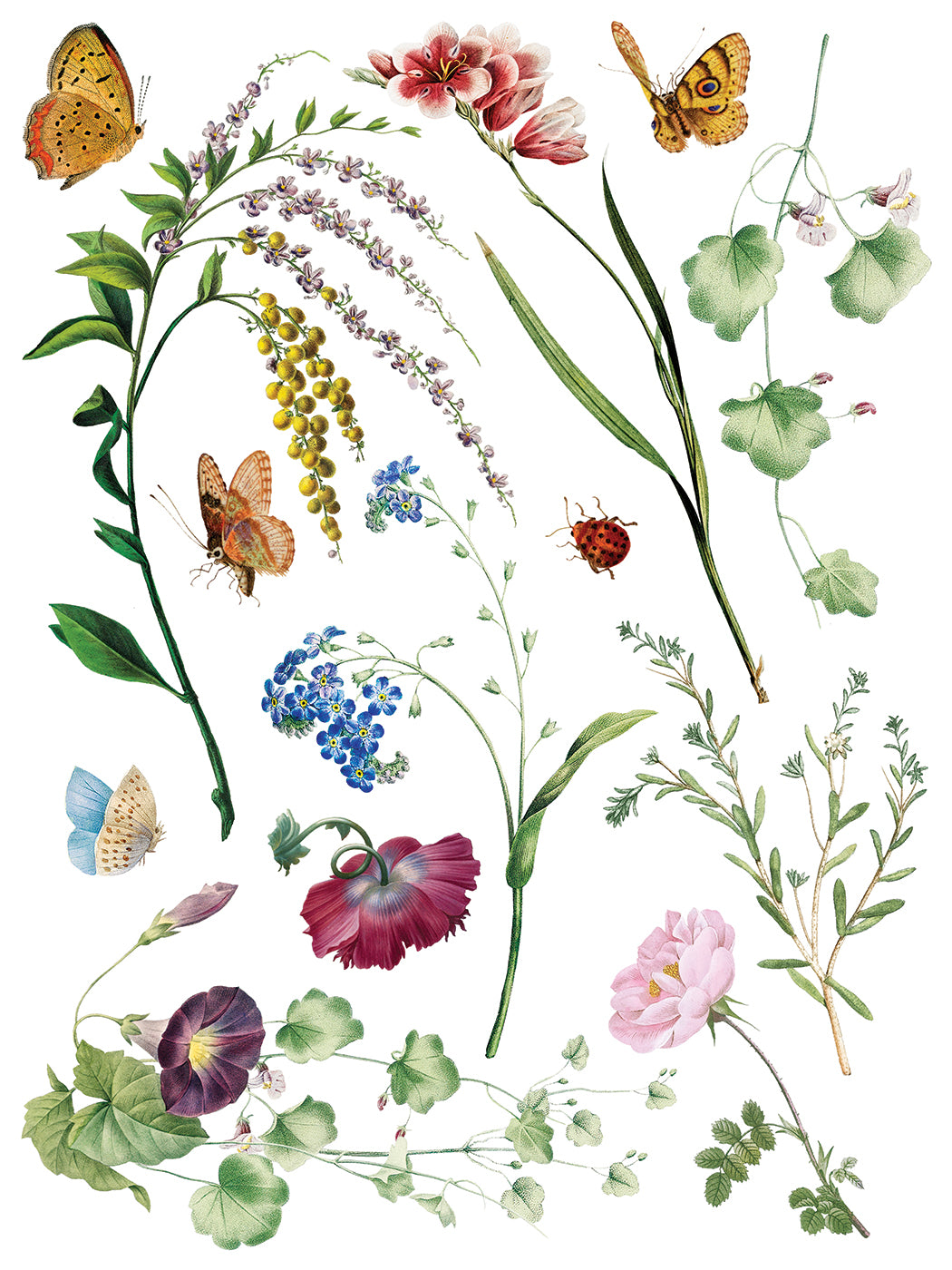 Marché des Fleurs IOD Transfer 12x16 Pad