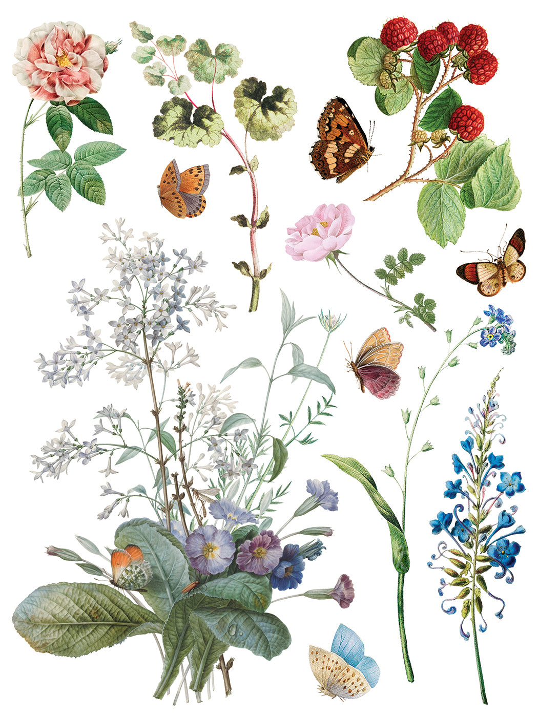 Marché des Fleurs IOD Transfer 12x16 Pad