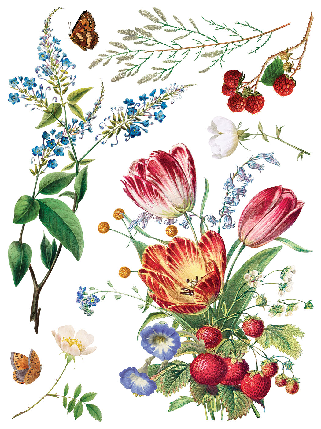 Marché des Fleurs IOD Transfer 12x16 Pad