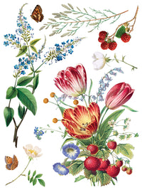 Marché des Fleurs IOD Transfer 12x16 Pad