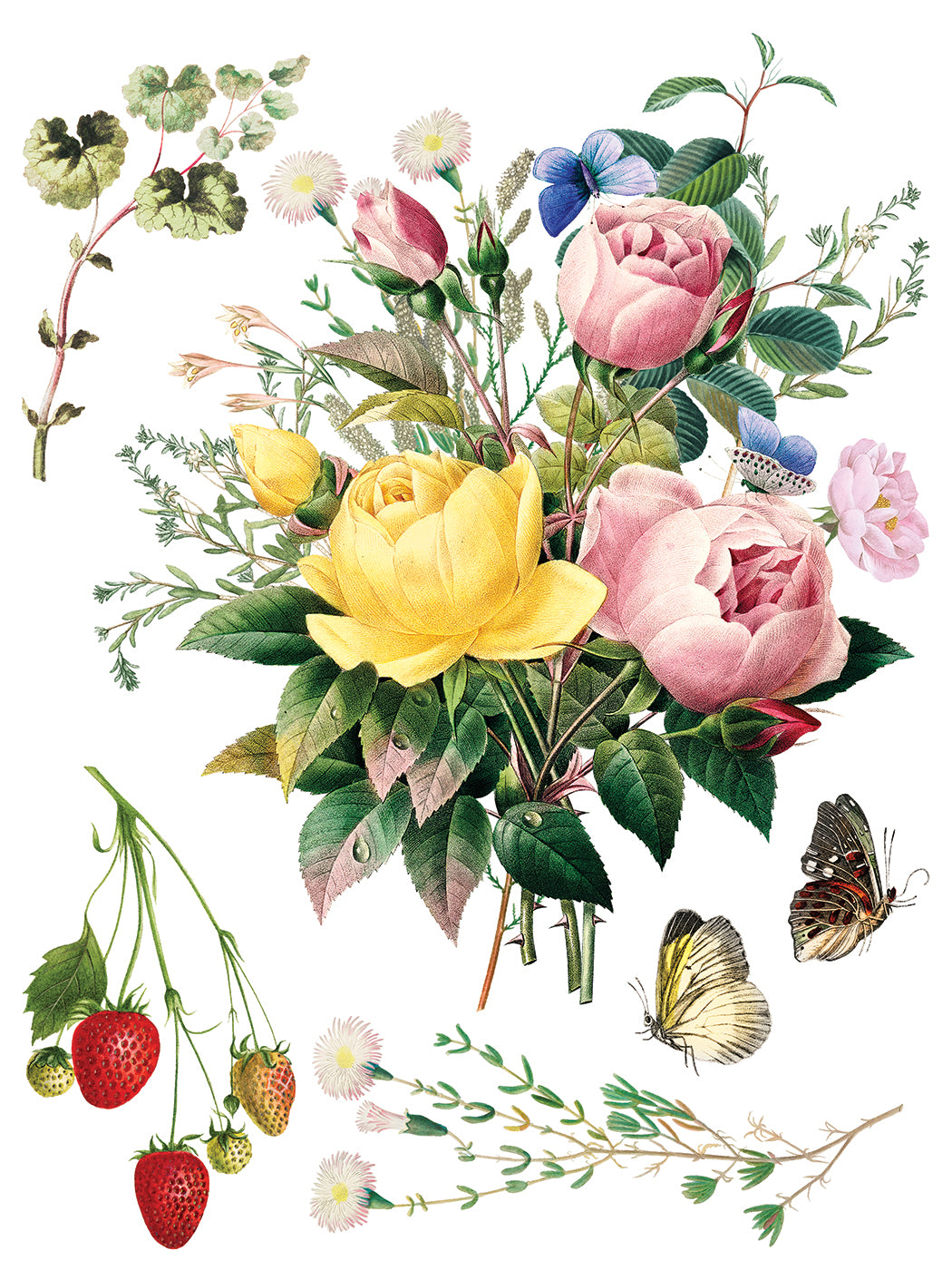 Marché des Fleurs IOD Transfer 12x16 Pad