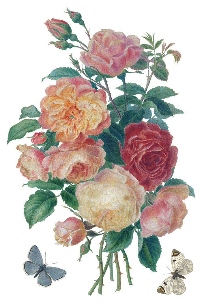 Saint Ouen IOD Transfer 8x12 Pad™