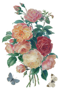 Saint Ouen IOD Transfer 8x12 Pad™