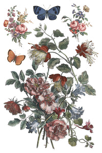 Saint Ouen IOD Transfer 8x12 Pad™