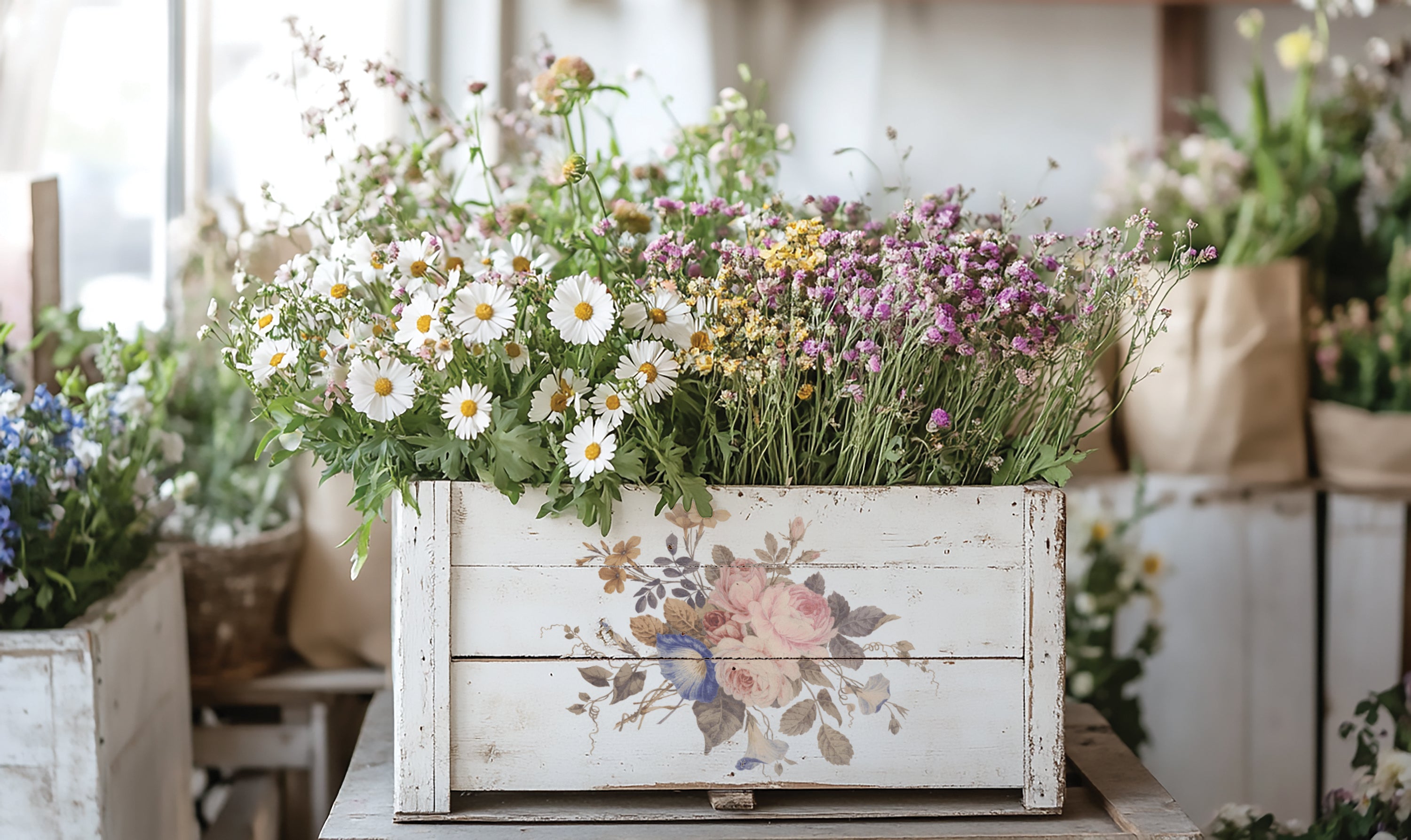 Saint Ouen IOD Transfer 8x12 Pad™