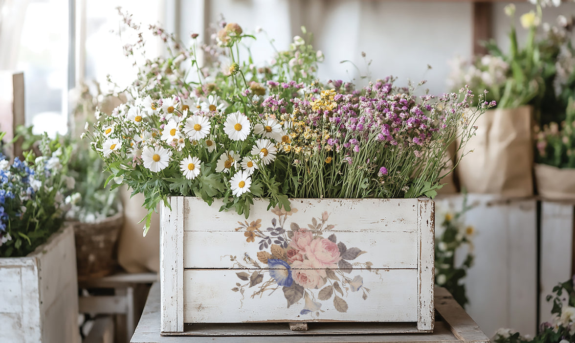 Saint Ouen IOD Transfer 8x12 Pad™