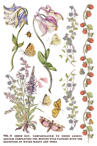 Primrose Isle IOD Transfer 8x12 Pad