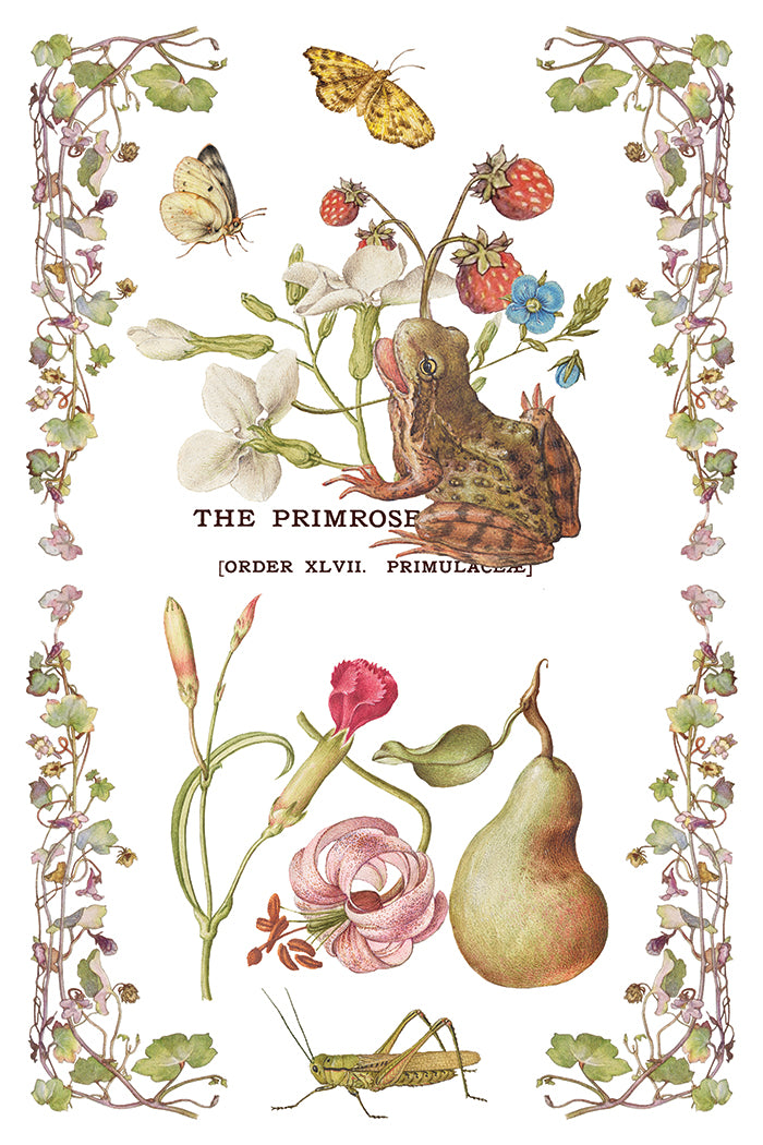 Primrose Isle IOD Transfer 8x12 Pad