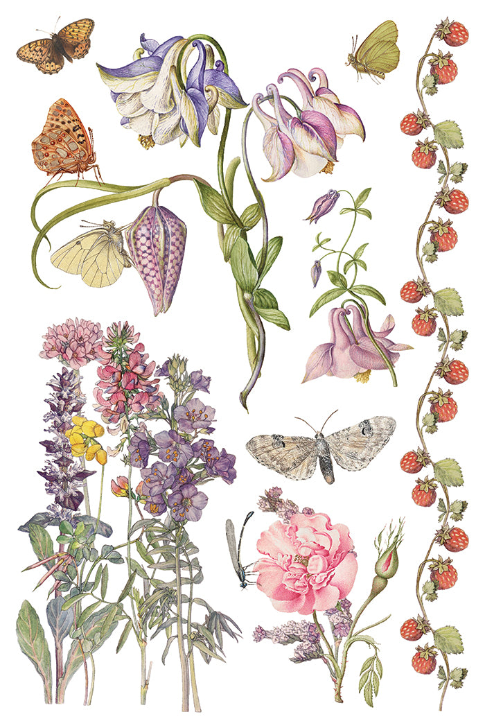 Primrose Isle IOD Transfer 8x12 Pad