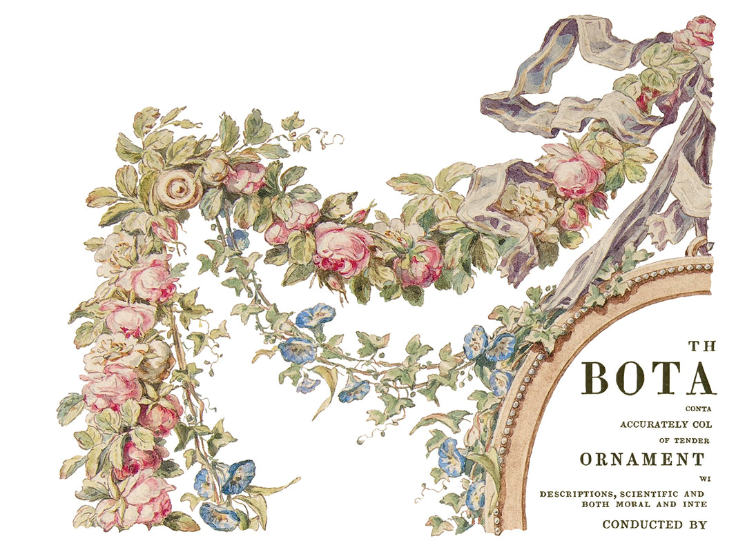 The Botanist  IOD Transfer (Retired) 12×16