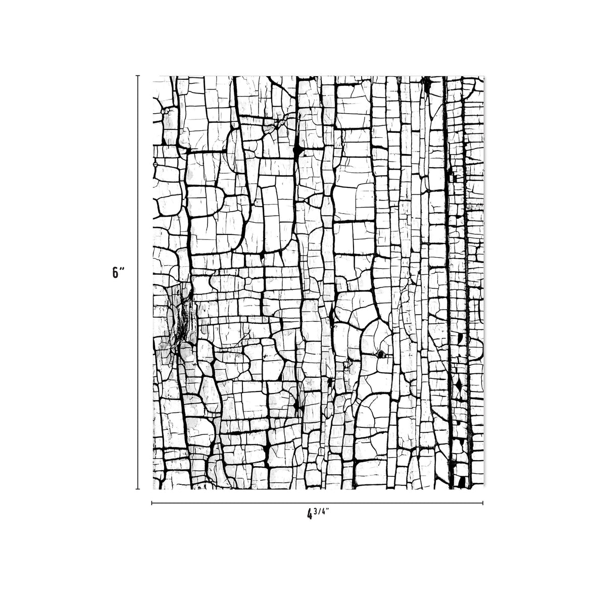 Halloween Collage Paper