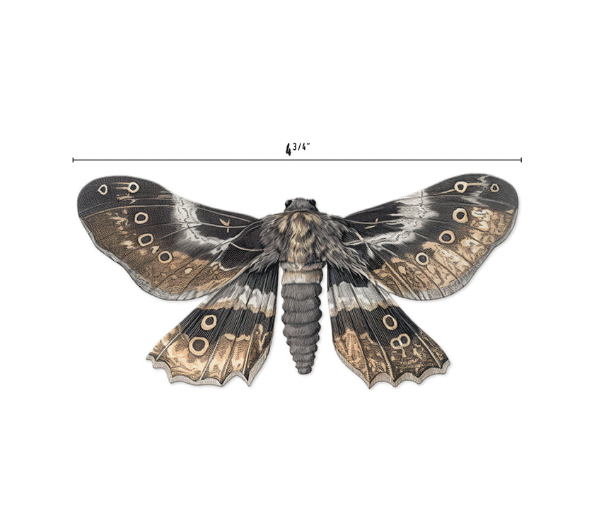 Halloween Moths Transparencies