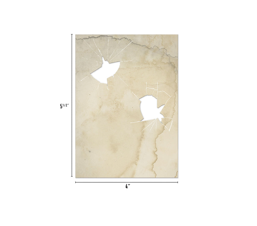 Halloween Transparencies 2024