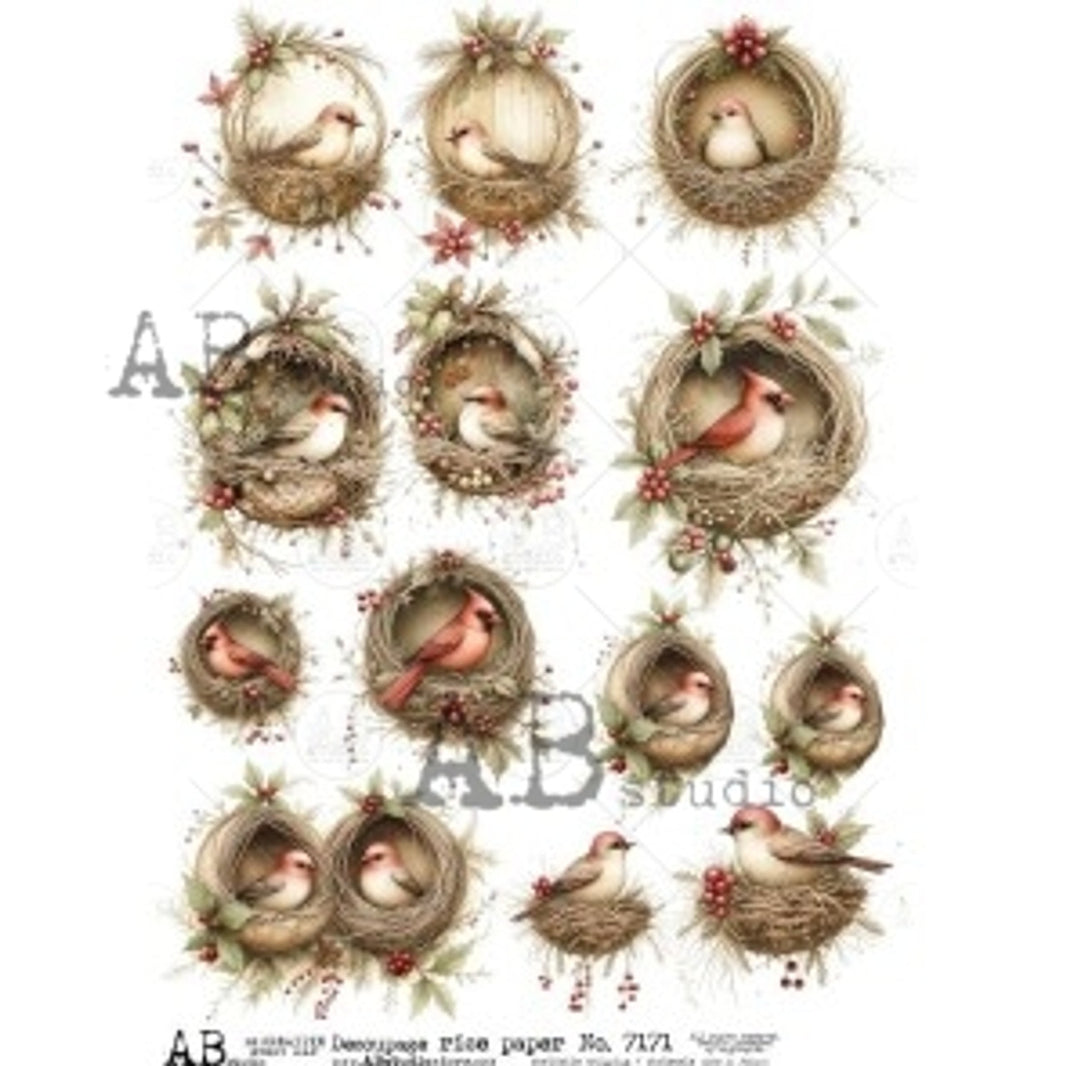 AB Studios Winter Robins in Nests 7171 A4 Rice Paper ABRP_7183