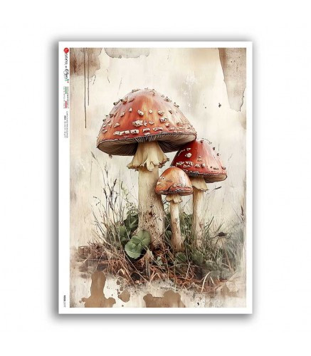 Fly Agaric Mushrooms, rice paper design by Paper Designs, arts & entertainment > hobbies & creative arts > arts & crafts > art & crafting materials > art & craft paper > drawing & painting paper, for decoupage and crafting