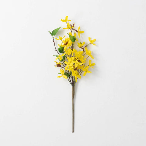 Forsythia and Twig Pick