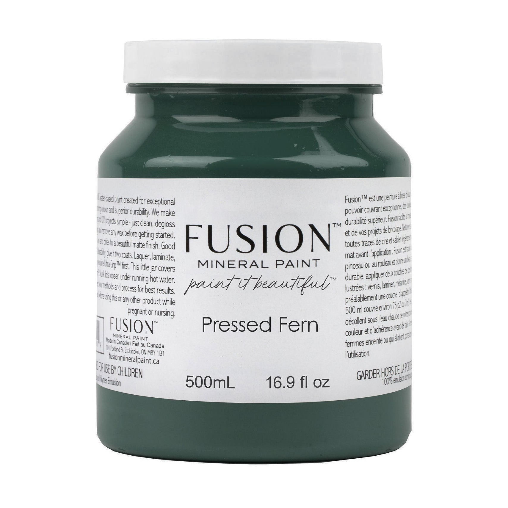 Pressed Fern