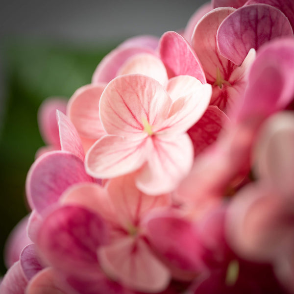 Real Touch Vivid Hydrangea Spray