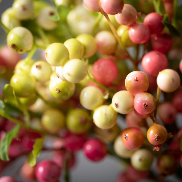 VIBRANT SPRING BERRY PICK