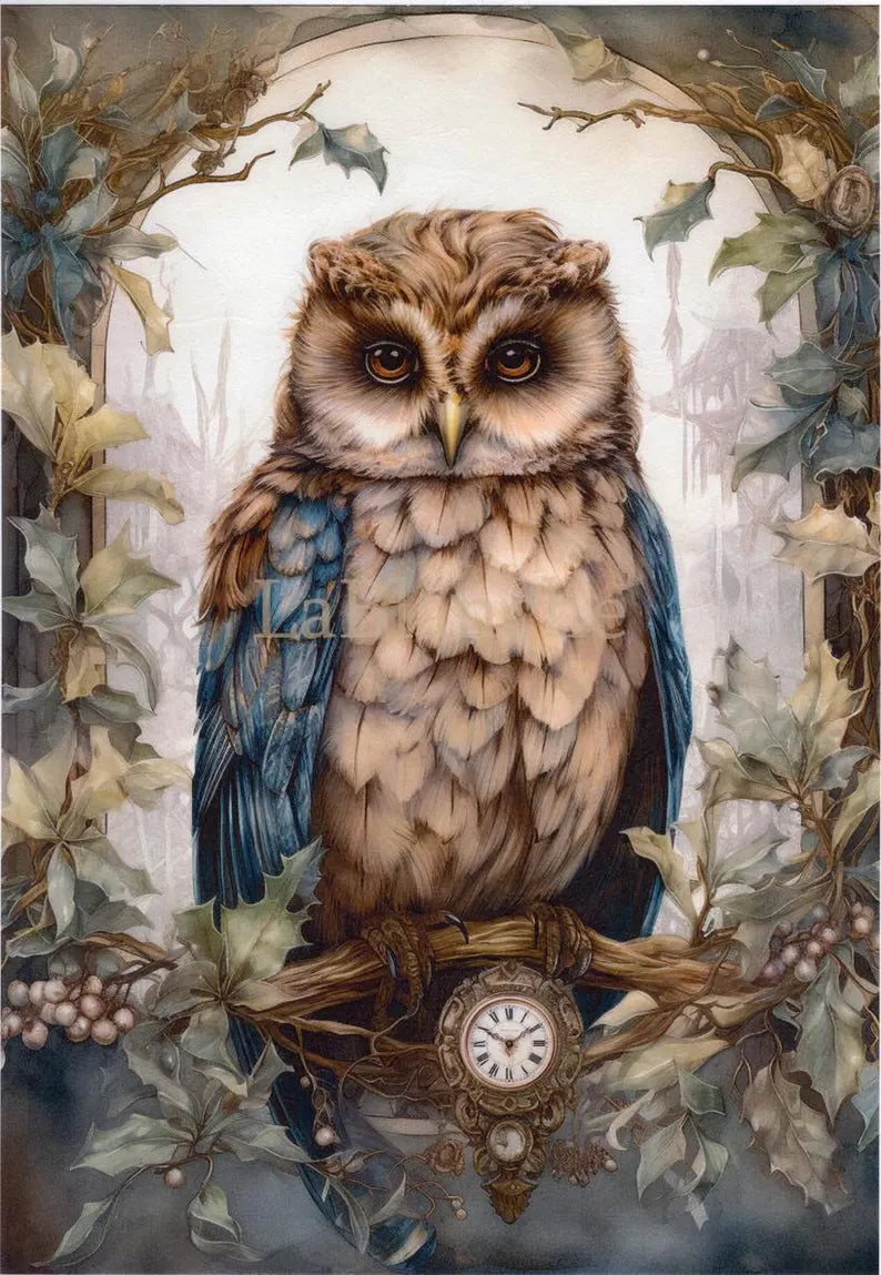 Fantasy Meadow Owl