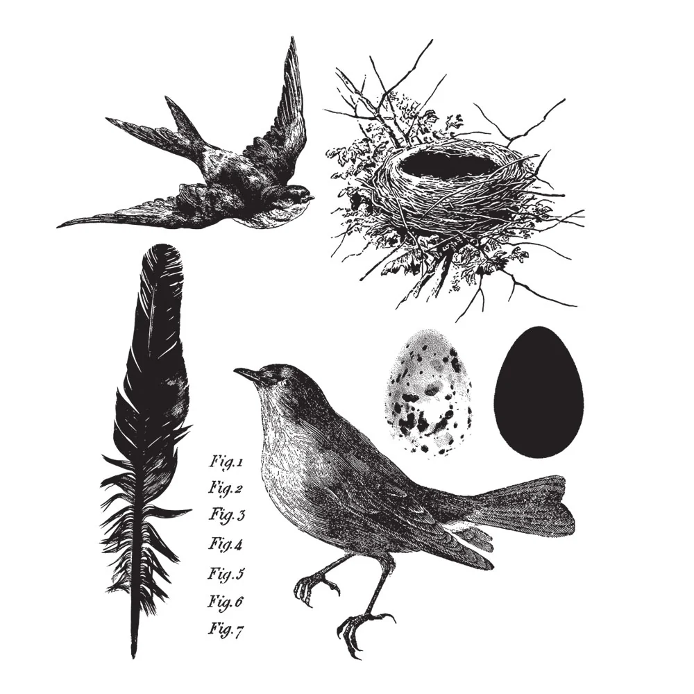 Tim Holtz Stamp Bird Feather