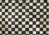 Iveta’s Hand Painted Checks