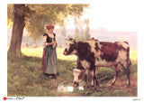 Woman on the Farm with Cows Rice